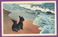 BLACK SCOTTY DOG LOOKING TOWARDS THE OCEAN VTG LINEN PC WAITING FOR MY PALS 1967