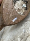 Bild 12 von 12
