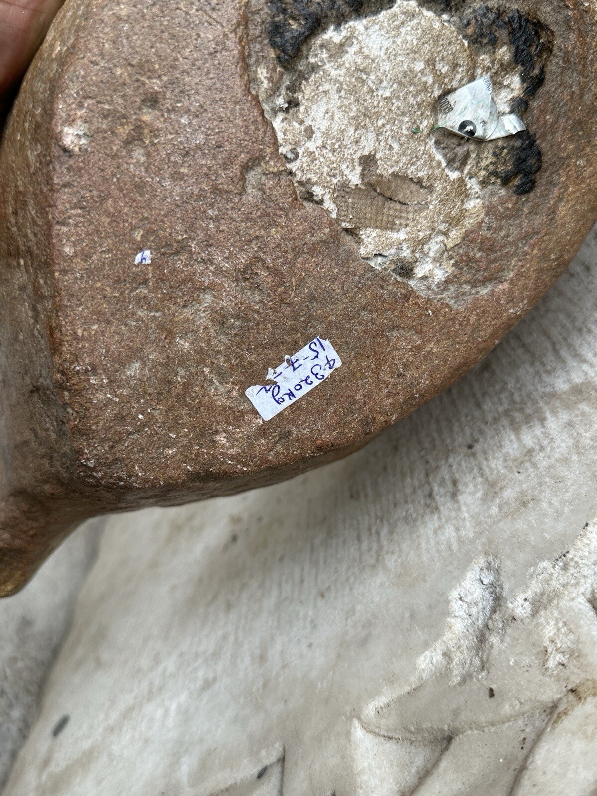 Bild 12 von 12