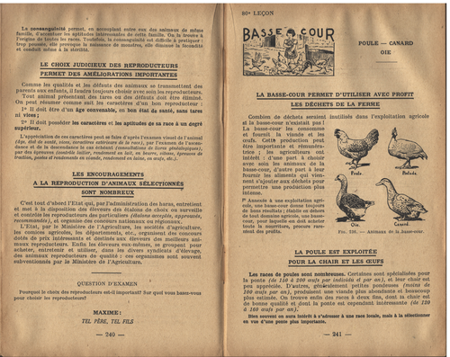 La TERRE de FRANCE de Braconnier-Théobald Agriculture Écoles rurales Dessin 1941 - Picture 20 of 24