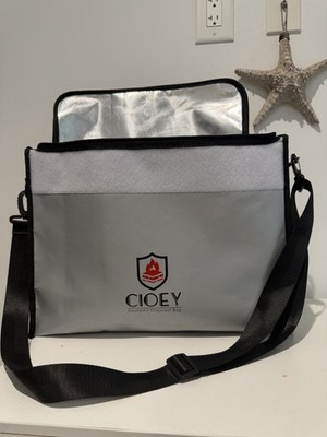Large (17 X 12 X 5.8 Inches) Fireproof Bag, Water Resistant