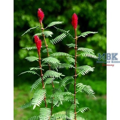 Model Scene MSC-VG3-018 Sumach / Sumac 1/35