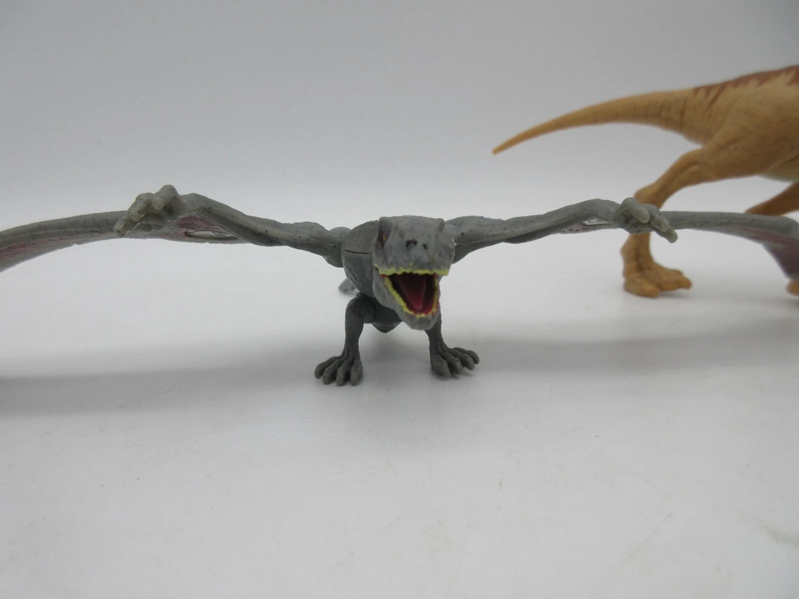 Picture 3 of 8