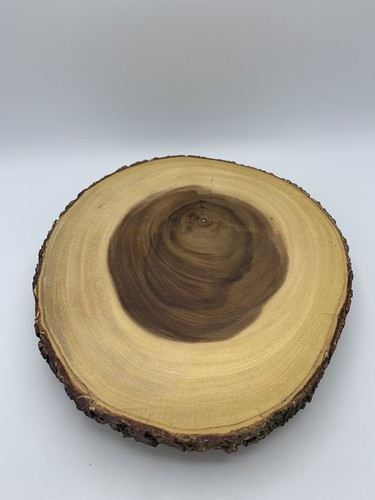 Lipper International Handcrafted Acacia Tree Bark Footed Server Platter, Small - Picture 2 of 9