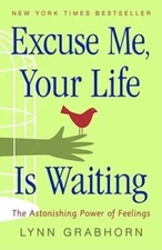 Excuse Me, Your Life Is Waiting: The Astonishing Power of Feelings - GOOD