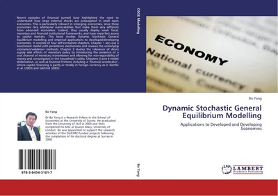 Dynamic Stochastic General Equilibrium Modelling Bo Yang Taschenbuch Paperback