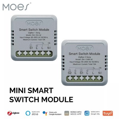 Moes Zigbee Switch Smart Schalter 1/2 -Gang Modul Tuya APP für Alexa Google