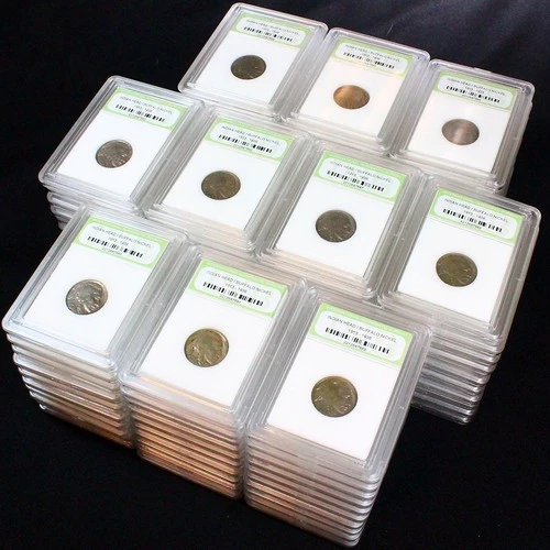 Dealer Lot of 100 Slabbed U.S. Full Date Buffalo Nickels