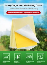 Sticky Fly Trap Paper Board Traps Fruit Flies Insect Glue Catcher Pest Control