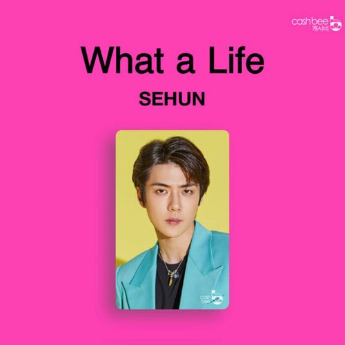 EXO - SC 1st Mini Album What a life Official Cashbee Photo Card + Gift Photo - Picture 5 of 14