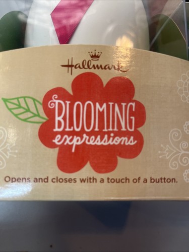 Zwei Hallmark Blooming Expressions batteriebetrieben Blume öffnet und schließt - Bild 2 von 8