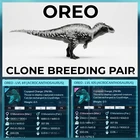 New Acrocanthosaurus clone Breeding Pair - Ark Asa Official PVE PC/XBX/PS5