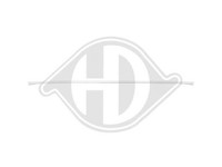 Zierleiste Hintenre. F10 FüR BMW 13-17