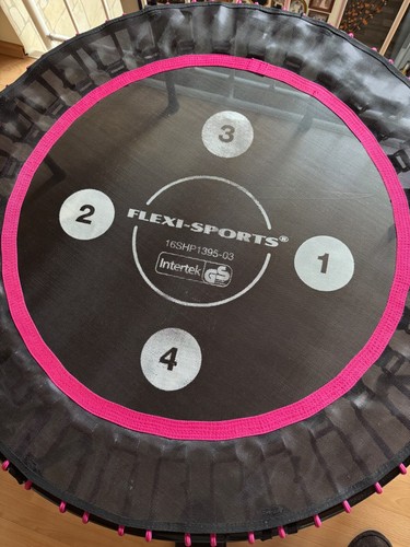 TRAMPOLIN (schwarz/pink) von Flexi-Sports, mit Zahlen und stabiler Haltestange - Bild 2 von 6