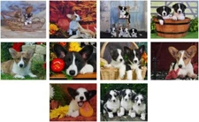 CARDIGAN CORGI PUPPIES NOTE CARDS