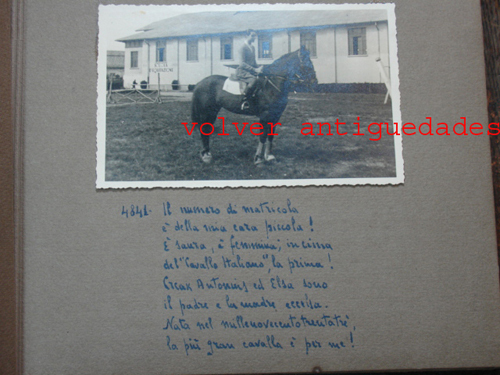 Very interesting and old 2 italian photos albums horse jumps photo horses Italy - Picture 4 of 12