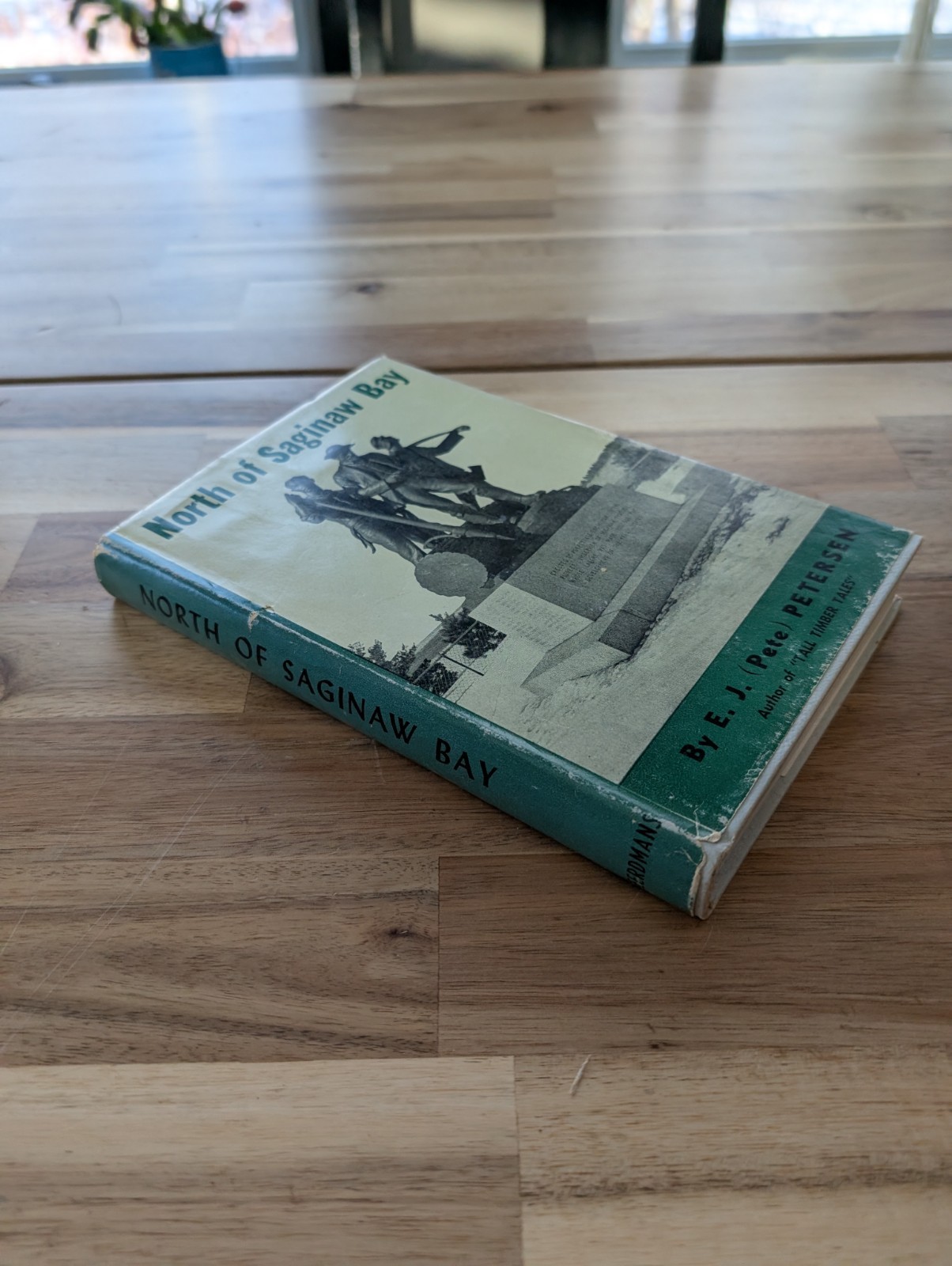 NORTH OF SAGINAW BAY Pine Logging Lumberjacks Timber Indians Historical Fiction