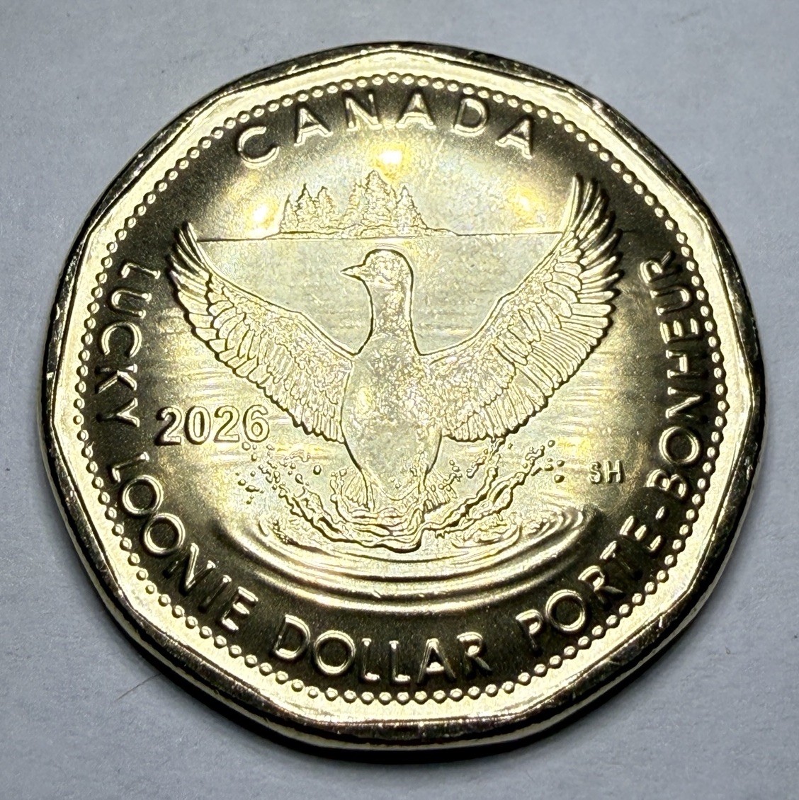 2026 Canadian $1 Lucky Loonie Uncirculated BU Coin from RCM Roll