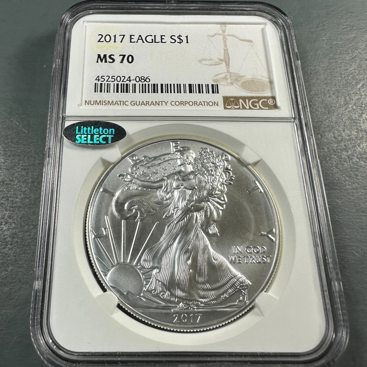 American Eagle MS 70 Graded 2017 Silver Bullion Coins for sale | eBay