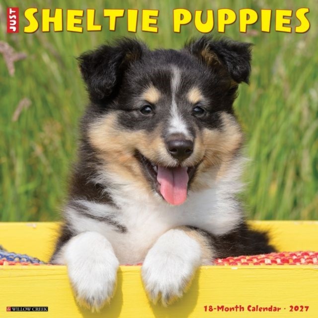 Sheltie Puppies 2027 Wall Willow Creek Press - Image 3
