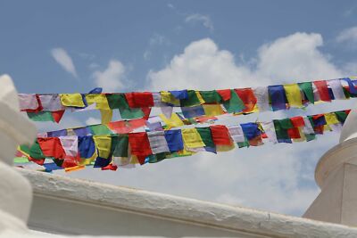 Buddhistische Tibetische Gebetsfahnen Medizin Buddha Mantra Bunt ca 2,2m Tibet