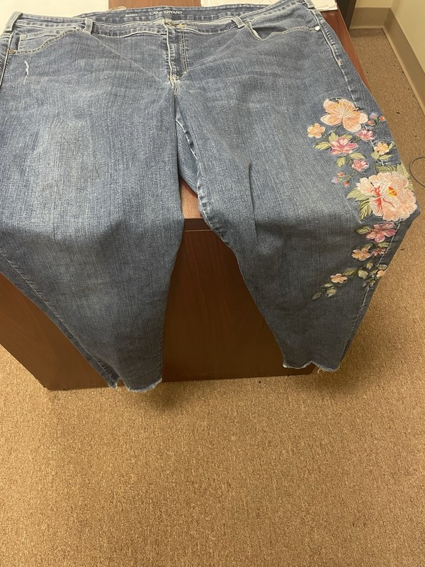 Lane Bryant Embroidered Skinny Distressed Boyfriend Jeans Size 26W Boho Raw Edge