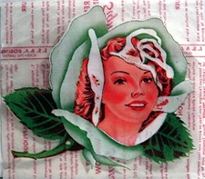 Vintage White Rose Gas Water Transfer Decal Window Store Sign Old Store Stock