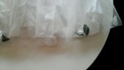 Bild 3 von 4