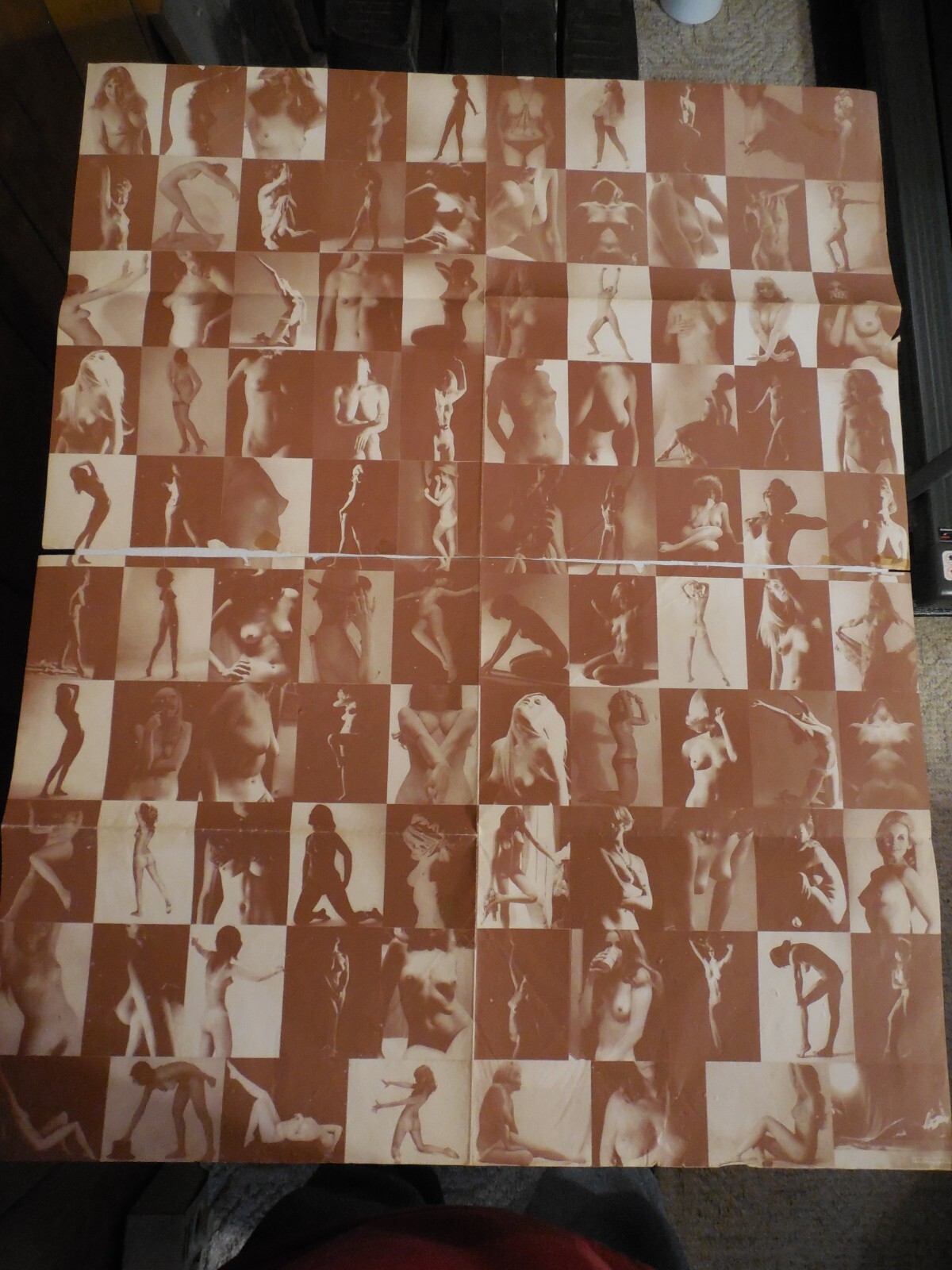 1980 Nude Females H. Fishlove & Co. Adult Wrapping Paper with Multiple Poses