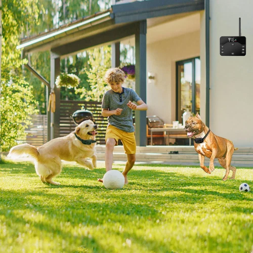 Recinzione Elettrica per Cani 2 in 1 Wireless Recinzione per Cani Collare Sistema di Contenimento per Animali Domestici - Foto 31 di 68