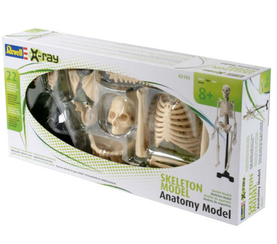 Revell Röntgenskelettmodell im Maßstab 1:4 (22 Stück) - Brandneu