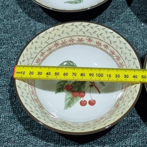 6 x Johnson Brothers Obst Sampler Müslischalen 15 cm breit Set - Bild 12 von 14