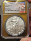 2025 NGC MS70 Silver Eagle - Gold Core - 1 of 2000 - Early Releases - Las Vegas