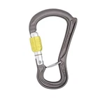 DMM Ceros Screwgate - Belay Carabiner