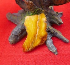 9,2 g Bursztyn Broszka naturalny bursztyn bałtycki butterscotch