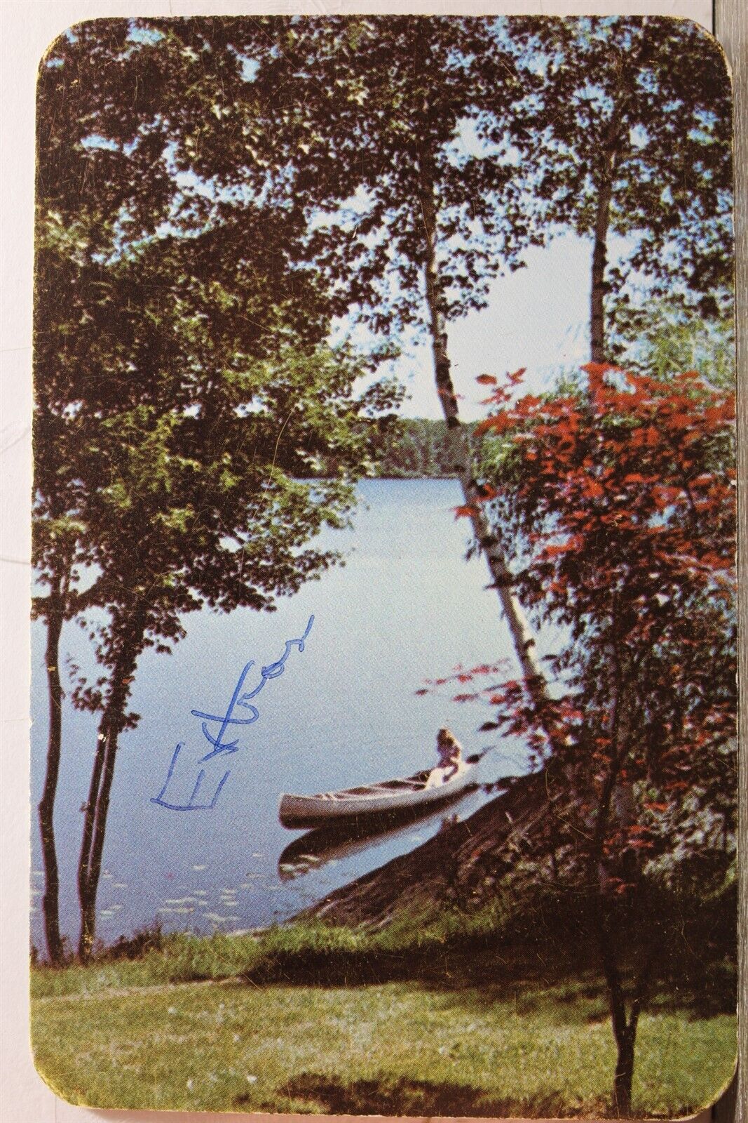 Scenic Canoe Can You Indians Birchbark Postcard Old Vintage Card View Standard