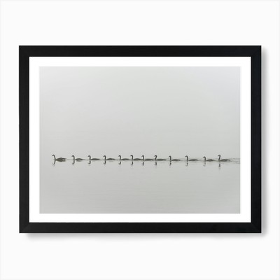 Follow Me Kunstdruck gerahmt Wandbild Poster Leinwanddruck Bild