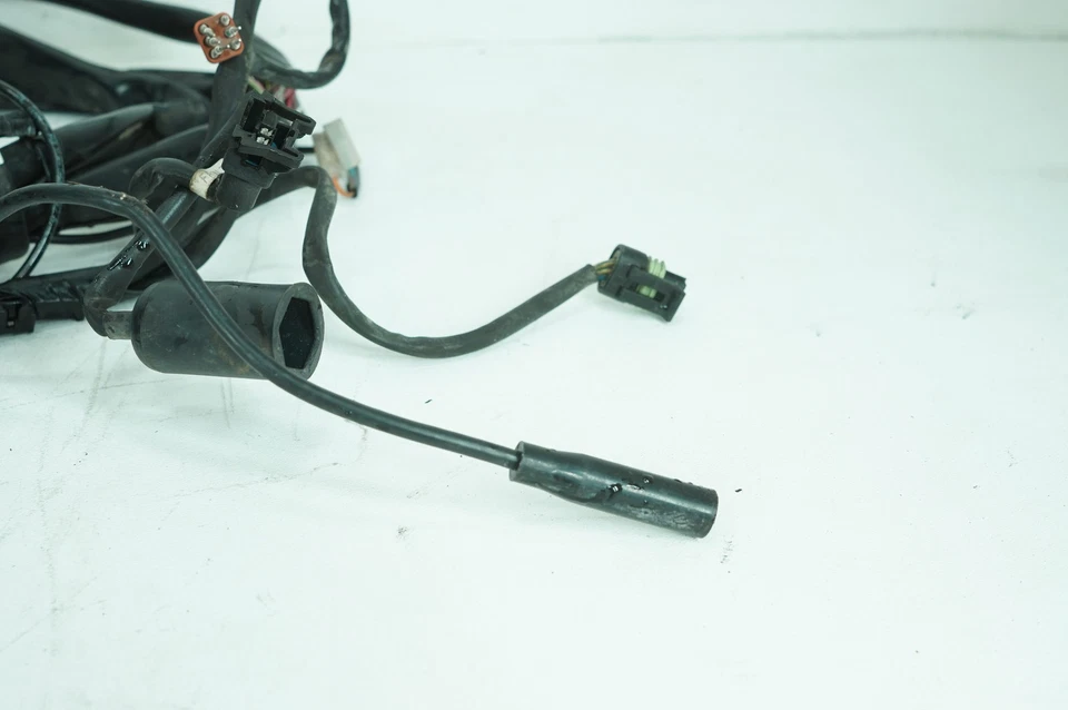 Harley Touring Electra Glide 2001 clásica OEM cableado principal arnés telar Foto 2 de 4