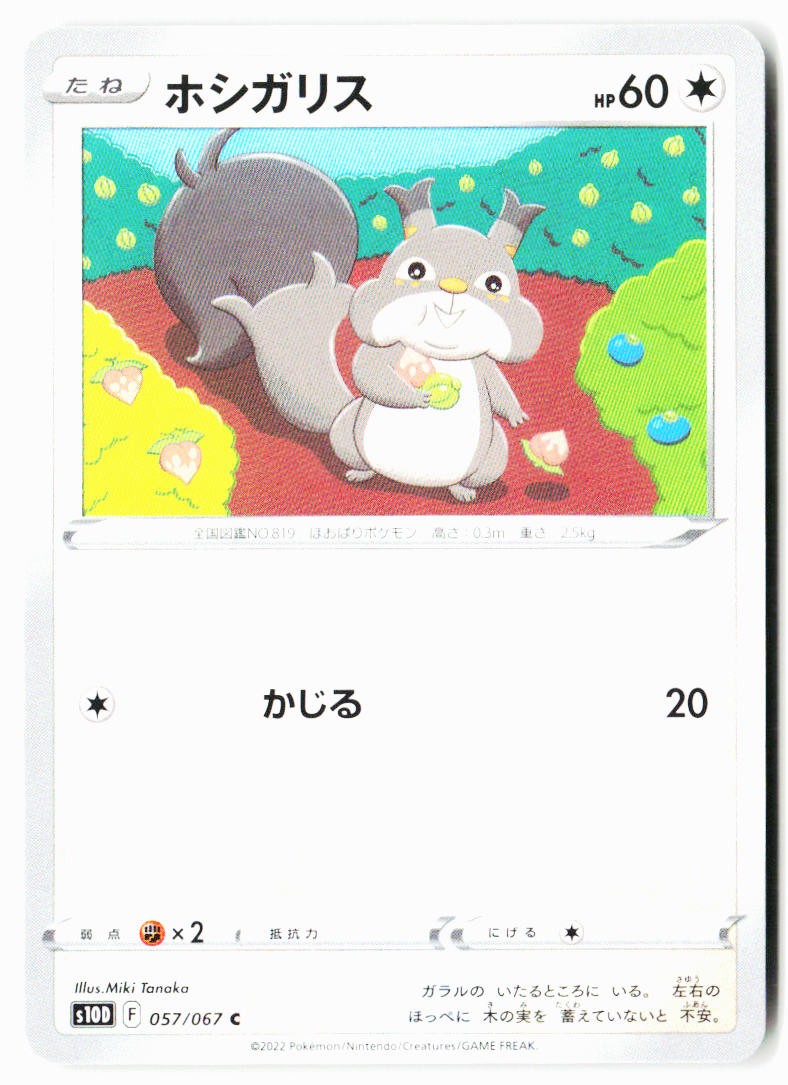 Skwovet 057/067 Common Time Gazer Pokemon Japanese Near Mint