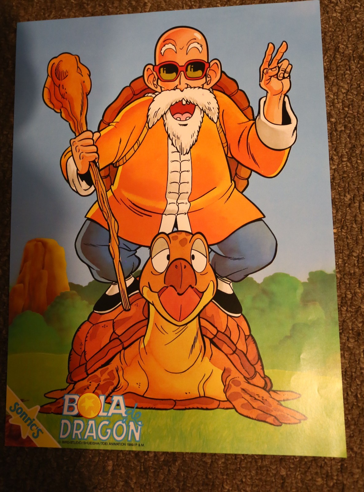 Picture 5 of 14