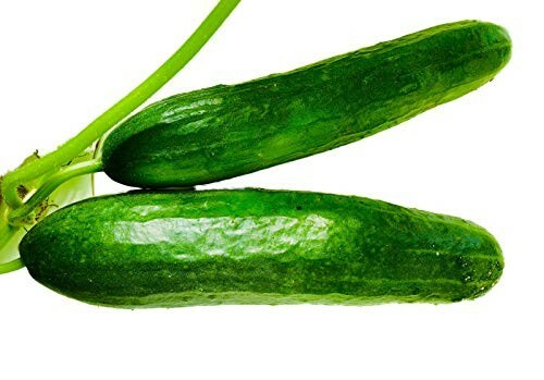 Bauern Gurke , Bauerngurke, Salatgurke -cucumis sativus- 20 Samen - Bild 1 von 1