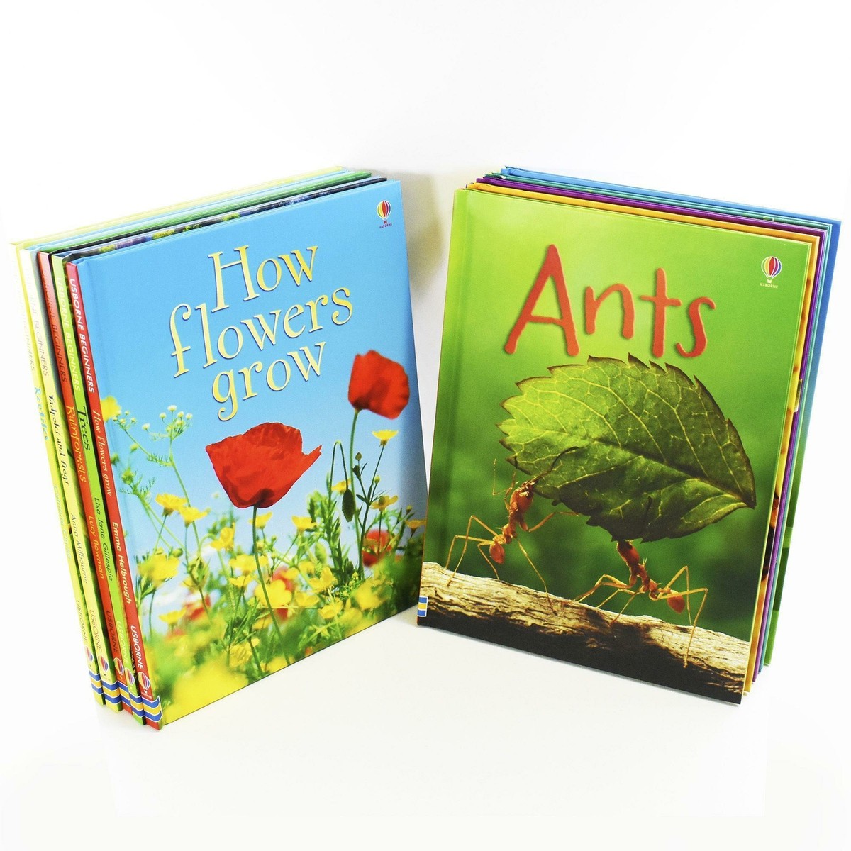 Usborne Beginners Nature 10 Books Box Set Collection