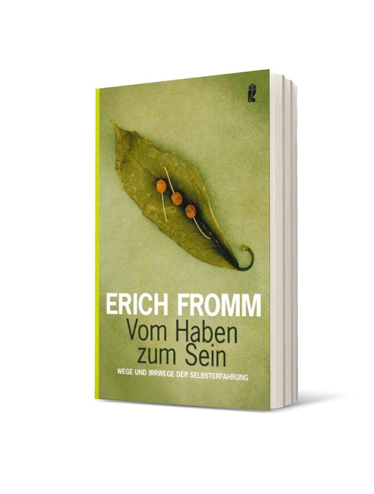 Thumbnail - Vom Haben Zum Sein, Erich Fromm