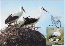 Tarjeta Maxi FDC 2004 White Stork Family Bird Ciconia Ciconia Estonia Estonia Como Nueva
