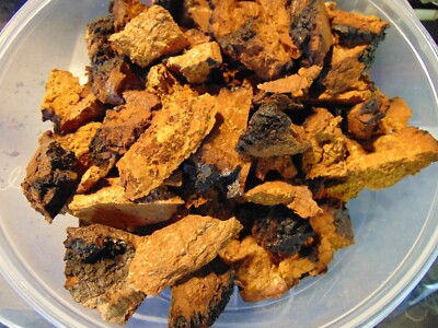 Little Chaga Chunks , Ready-to-Use