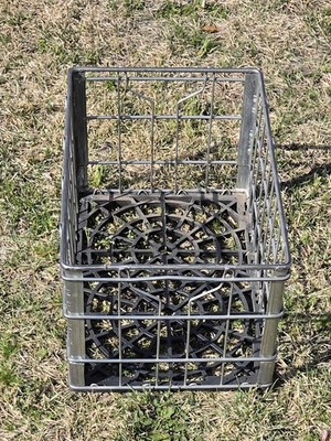 Vintage TUSCAN DAIRY  STEEL WIRE Metal MILK CRATE  APPROXIMATELY 19'' x 13'' x 11''