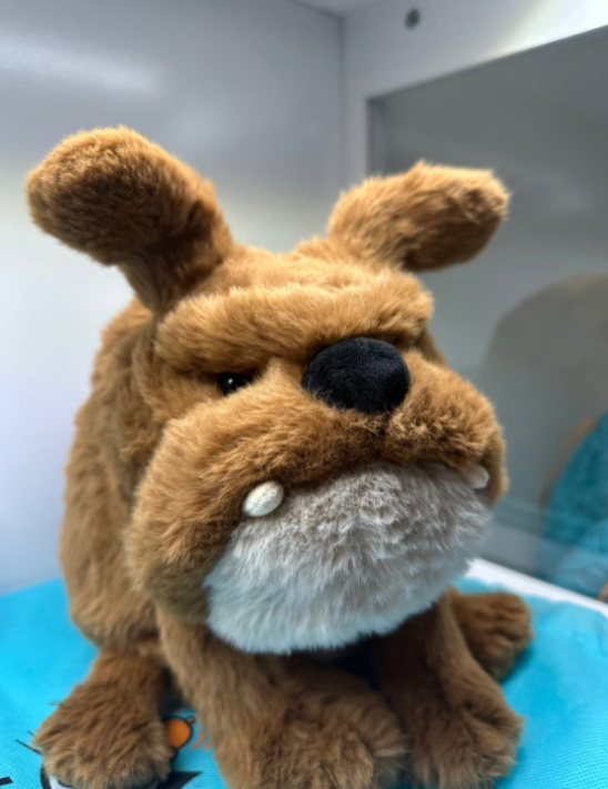 SALE Jellycat Derreck Dog Plush Toy Stuffed Animal Cute Soft Gift