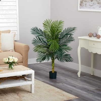 Vibrant 4ft Golden Cane Palm Tree in Stylish Black Planter - Adds Tropical Vibes