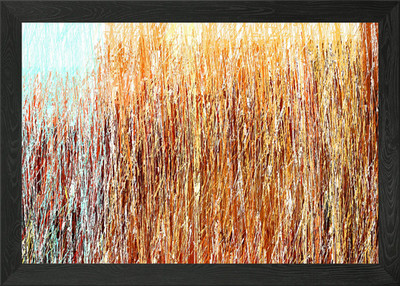bunter abstrakter Strich gerahmtes Wandbild Poster Leinwanddruck Bild