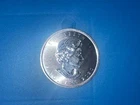 2020 Canadian Silver Maple Leaf 1 oz — photo from another recent sale